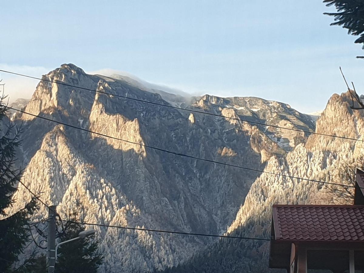 Mountain Break Azuga Ski Exterior photo